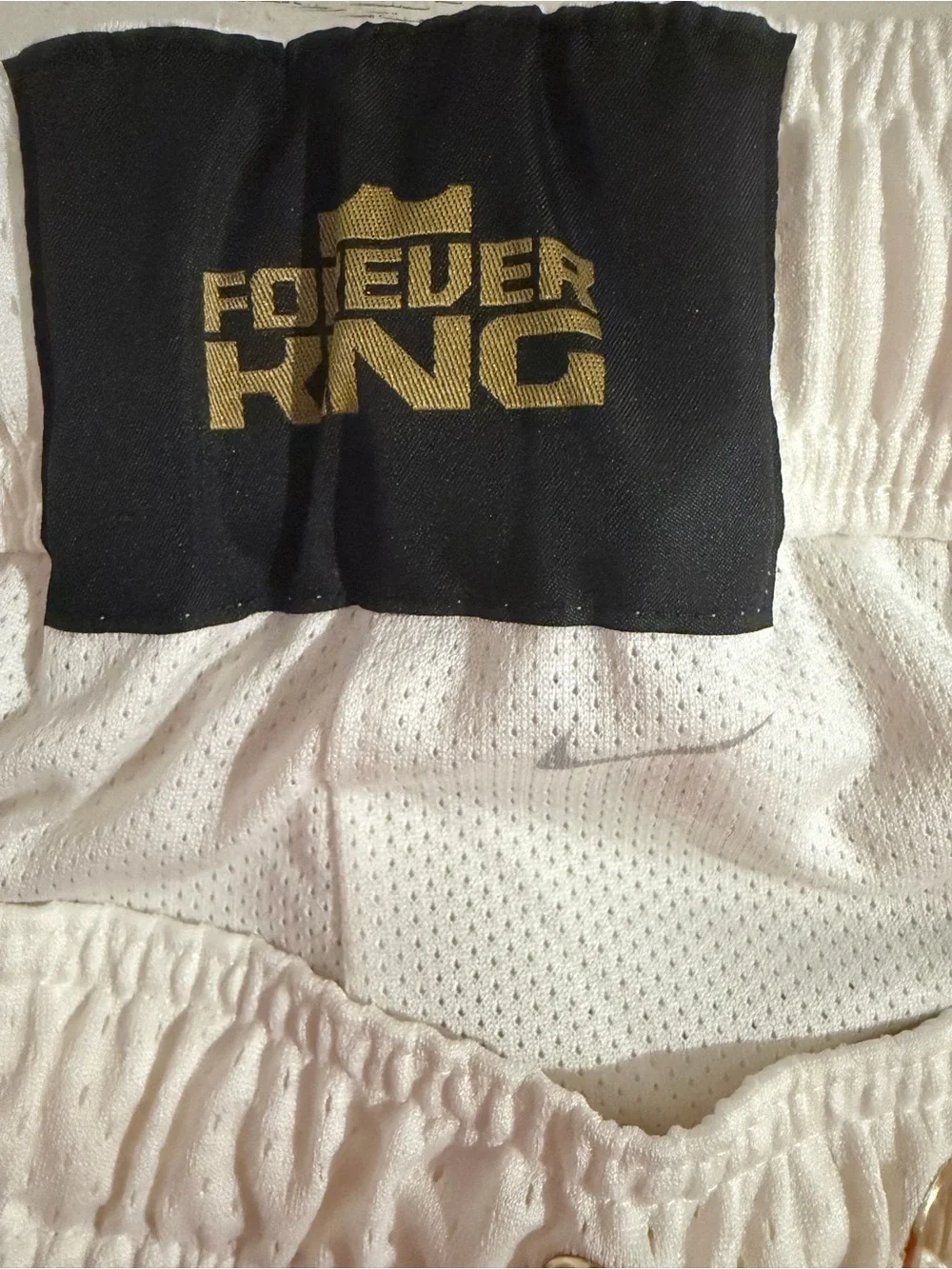 Nike LeBron James 
